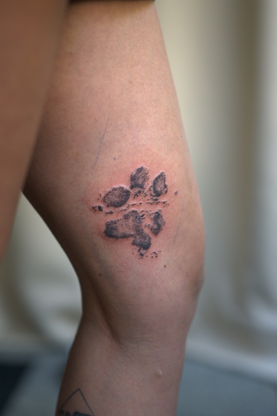 Tatouage black and grey d'une empreinte de patte, mollet